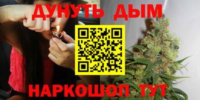 jwh Кингисепп