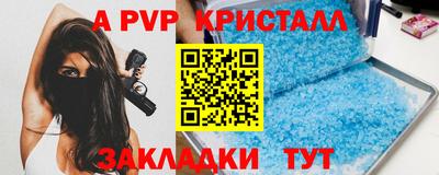 jwh Кингисепп