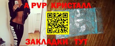 jwh Кингисепп