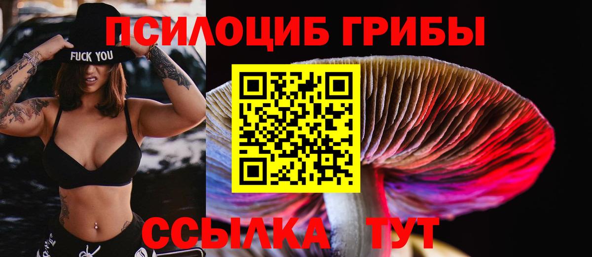 Галлюциногенные грибы MAGIC MUSHROOMS  Вход с VPN  Коломна 