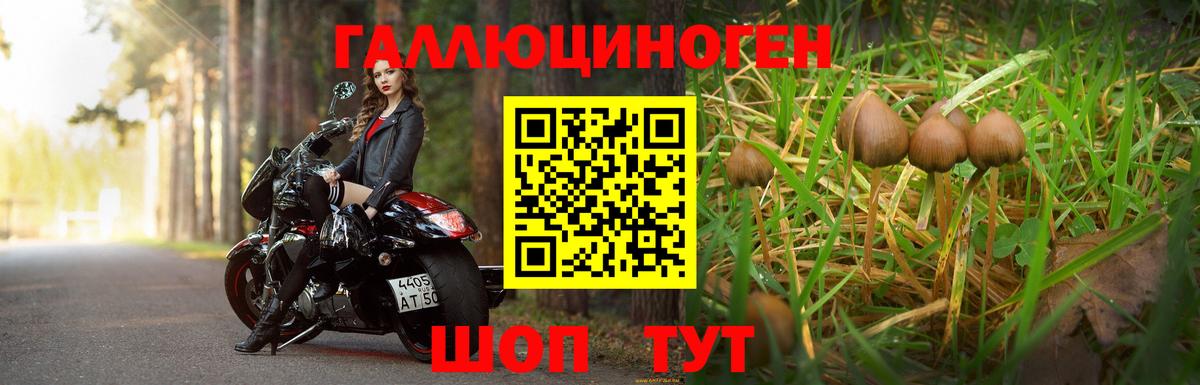 НБОМе Коломна